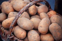 Россия ограничила ввоз украинской картошки