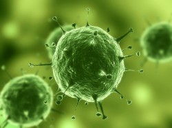 Ученые обнаружили мегавирус