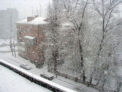 Синоптики пообещали москвичам снег