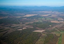 Многострадальный гектар Многострадальный гектар