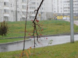 В Москве начинаются дожди