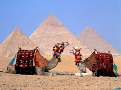 Египет фильтрует туристов