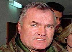 Кому выгодно появление информации о сдаче Младича?