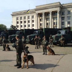 «Происходящее мне больше всего напоминает оккупацию» «Происходящее мне больше всего напоминает оккупацию»
