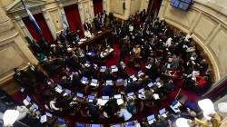 Сенат Аргентины отклонил законопроект о легализации абортов
