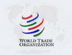 Таможенный союз вступит в ВТО