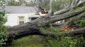 Трамп выразил соболезнования семьям жертв урагана «Флоренс»