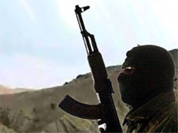 США хотят «замириться» с «Талибаном»? 