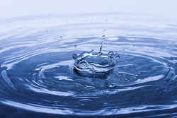 В Москве открывается форум «Чистая вода»