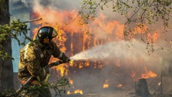 В Забайкалье из-за лесных пожаров ввели режим ЧС