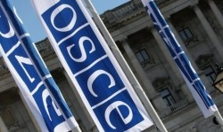 Российская делегация не поедет на ассамблею ОБСЕ