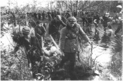 Бригада «Дяди Коли» Бригада «Дяди Коли»
