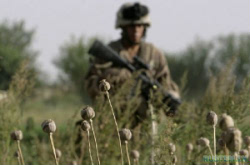Афганский «Вьетнам» 