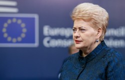 Грибаускайте предрекла Украине «долгий путь» в Евросоюз