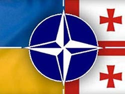 Грузия и Украина пойдут в НАТО разными путями