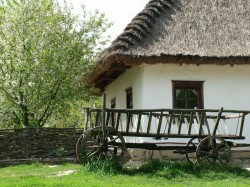 Украинские метания: ЕС или ТС? Украинские метания: ЕС или ТС?