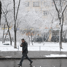 В Москве пройдет дождь со снегом