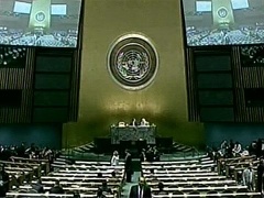 ООН поддержала Грузию