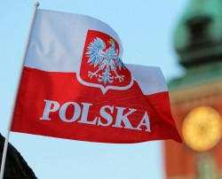 Пушков предложил прекратить поставки газа в Польшу