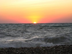 Почти половина Черного моря непригодна для жизни