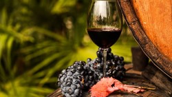 Крымское вино произвело фурор в Лондоне