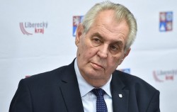 Президент Чехии назначил новое правительство