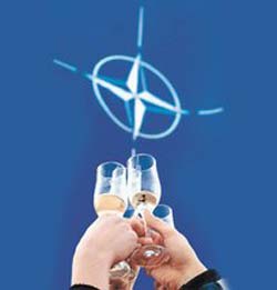 ОАЭ и НАТО договорились о сотрудничестве