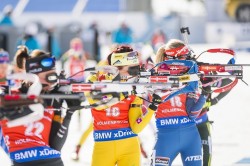 Спортивные эмигранты Спортивные эмигранты