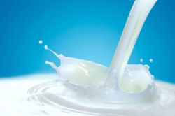 Молочную продукцию с растительными жирами пометят