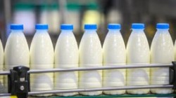 Россельхознадзор ограничил ввоз молочной продукции из Белоруссии
