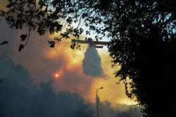 От лесных пожаров в Израиле пострадали сотни человек