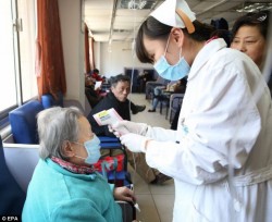 В Китае почти победили птичий грипп