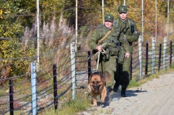 Более полутонны наркотиков арестовано на границе РФ за 2017 год