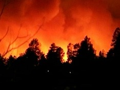 В Туве 8 человек сгорели заживо в тайге