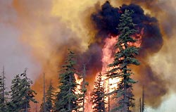 Лесные пожары добрались до Иркутска