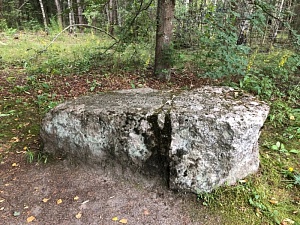 У древнего Верельского камня