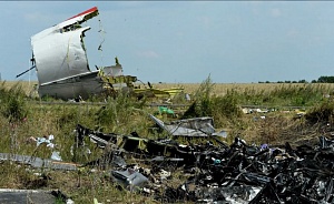 В Нидерландах рассказали о результатах анализа тел членов экипажа MH17