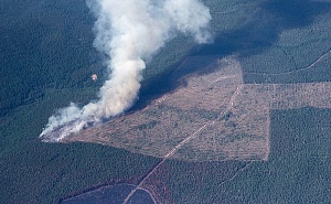 Генпрокуратура заявила о намеренных поджогах лесов в Сибири