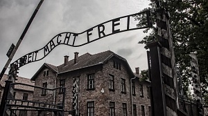Учителя в США шокированы «альтернативным взглядом на холокост» 