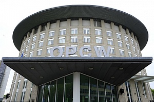 Москва отказалась финансировать работу обвинительного механизма в ОЗХО