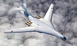 2024-й для России – год «белого лебедя»
