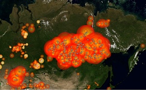 Красноярский губернатор считает бессмысленным тушение лесных пожаров