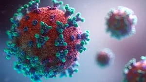 В РАН назвали способ остановить мутацию коронавируса