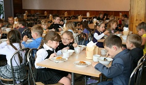 Госдума приняла закон о бесплатном горячем питании для школьников