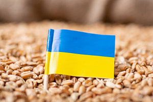 Еврокомиссия запретила экспорт украинского зерна в пять стран 