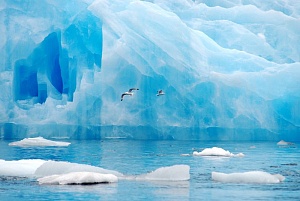 Дания намерена усилить своё присутствие в Арктике