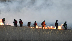 В России за сутки потушили почти 100 очагов природных возгораний