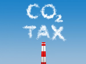 Чубайс предложил ввести углеродный налог