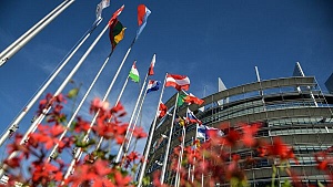 Россия выплатит долг по взносам в Совет Европы за 2017-2018 годы