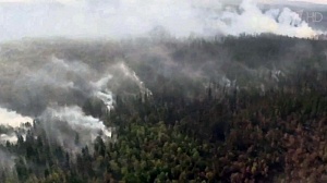 В российских регионах начались крупные пожары